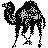 Perl Script